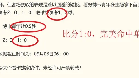特朗普视角：2026年俄乌冲突的解决方案与避雷点